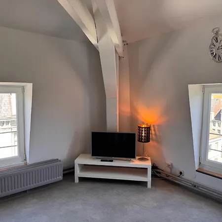 Danish Cathedrale Apartment Liege
