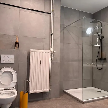 Danish Cathédrale * Liège