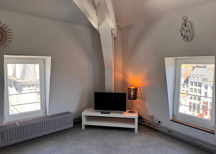Danish Cathedrale Apartment Liege