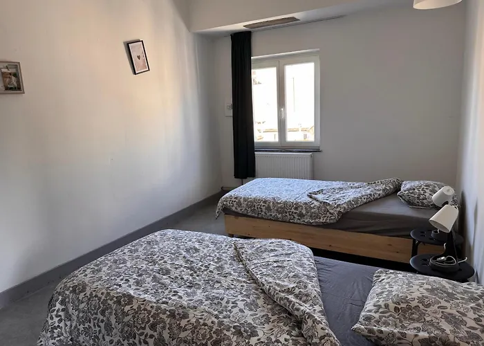 Danish Cathedrale Apartment Liege